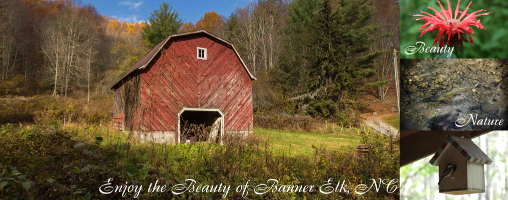 Beautiful Banner Elk